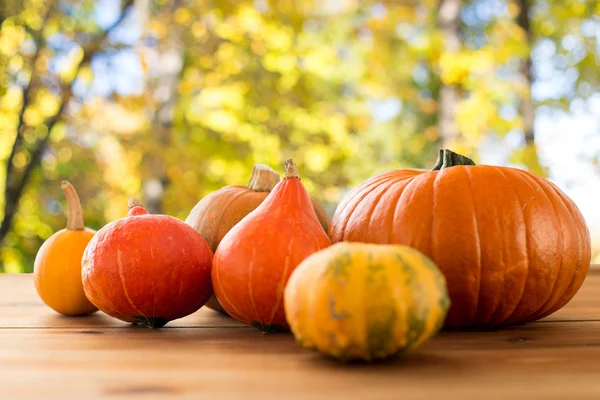 Close up of pumpkins on wooden table outdoors — Stock Photo, Image