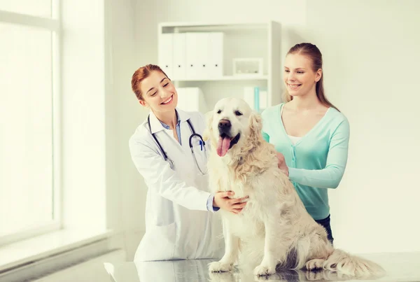 강아지와 수 의사 병원에서 의사와 함께 행복 한 여자 — 스톡 사진