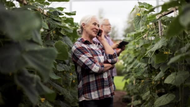 Gammal kvinna ringer på smartphone i gården växthus — Stockvideo