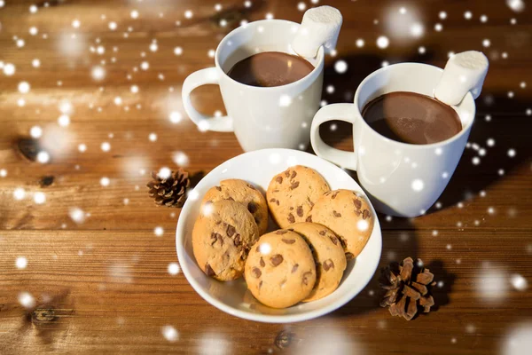 Cups of hot chocolate with marshmallow and cookies — Stock Photo, Image