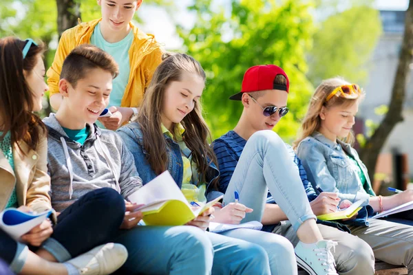 Skupina studentů s notebookem na školním dvoře — Stock fotografie