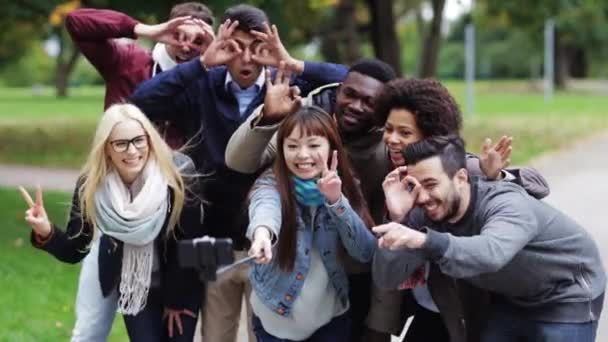 Amigos felizes tirando selfie por smartphone no parque — Vídeo de Stock