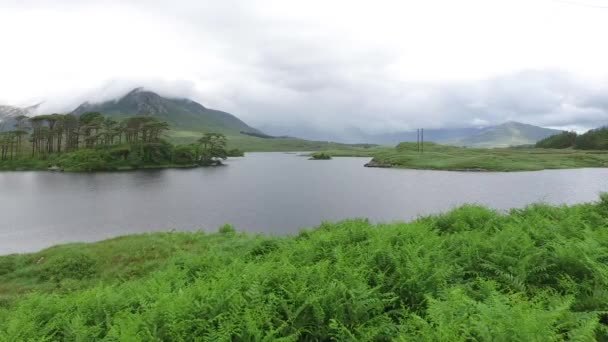 Blick auf Insel in See oder Fluss in Irland 21 — Stockvideo