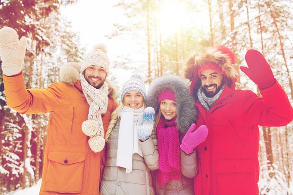 Groupe d'amis agitant les mains dans la forêt d'hiver — Photo