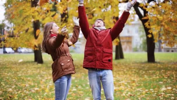 Heureux jeune couple jetant des feuilles d'automne dans le parc — Video