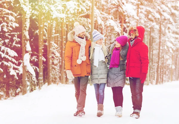 Skupina s úsměvem mužů a žen v zimním lese — Stock fotografie
