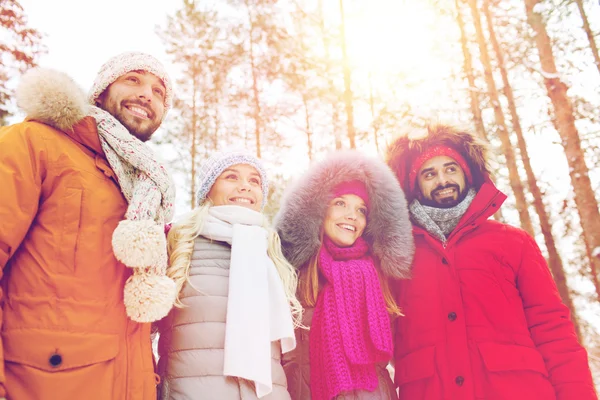 Group of smiling men and women in winter forest — Stock Photo, Image