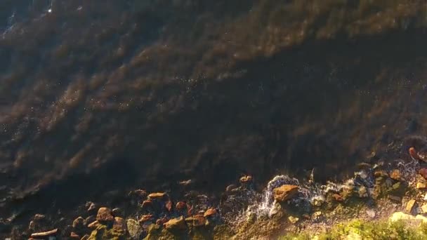 Vue aérienne sur la falaise et la mer baltique en estonie — Video