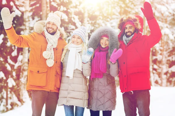 Groep vrienden handen zwaaien in winter forest — Stockfoto