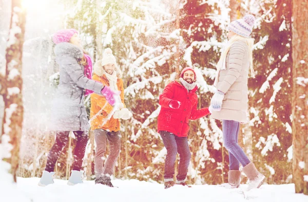 Grupo de amigos felizes jogando bolas de neve na floresta — Fotografia de Stock