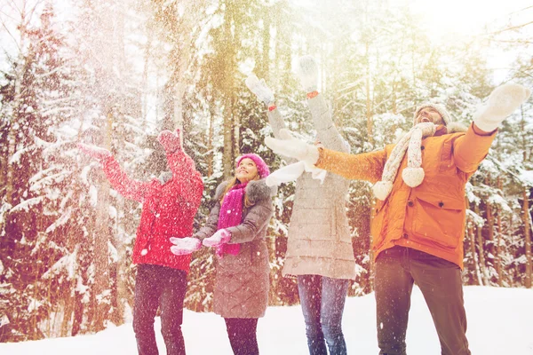 Grupo de homens e mulheres sorridentes na floresta de inverno — Fotografia de Stock