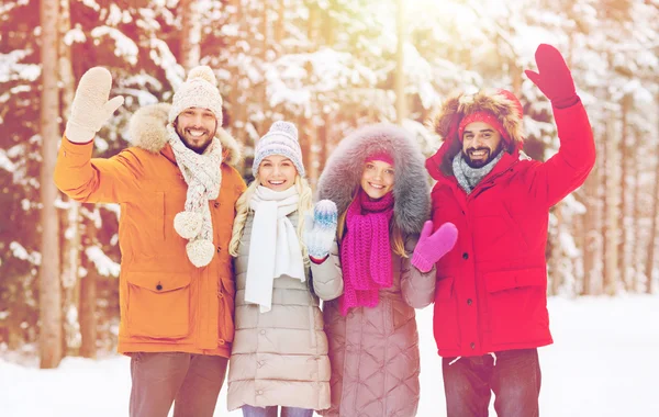 Groupe d'amis agitant les mains dans la forêt d'hiver — Photo