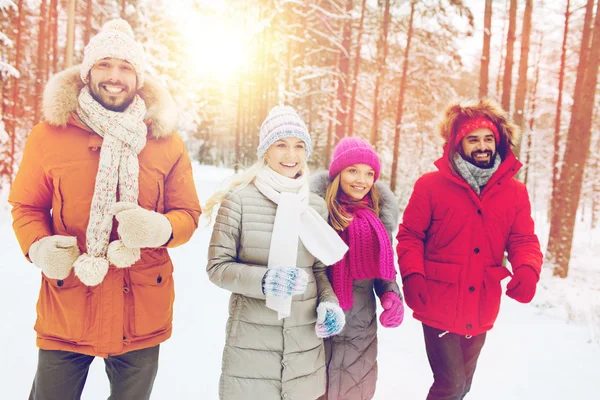 Grupo de homens e mulheres sorridentes na floresta de inverno — Fotografia de Stock