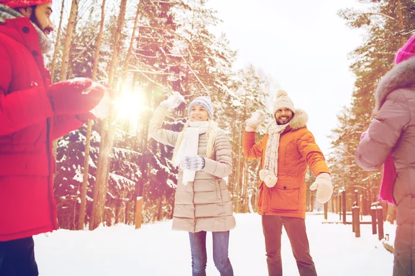 Happy přátelé hrát sněhová koule v zimním lese — Stock fotografie