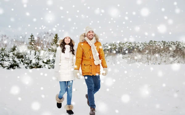 Feliz pareja caminando a lo largo de nevado campo de invierno —  Fotos de Stock