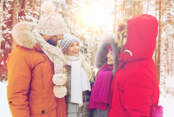 Groep glimlachend mannen en vrouwen in winter forest — Stockfoto