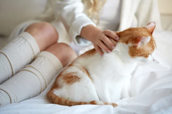 Gelukkig jonge vrouw met kat in bed thuis — Stockfoto