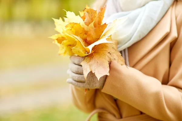 Primer plano de la mujer con hojas de arce en el parque de otoño —  Fotos de Stock