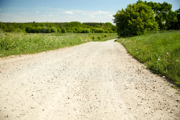 Carretera de campo en verano —  Fotos de Stock