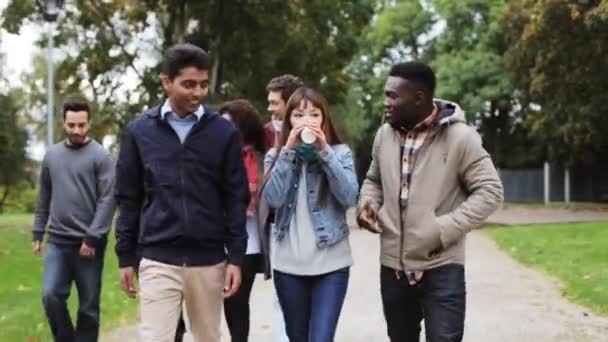 Счастливые друзья, гуляющие по осеннему парку — стоковое видео