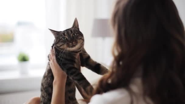 Νεαρή γυναίκα παίζει με τη γάτα στο σπίτι — Αρχείο Βίντεο