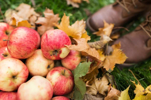 Pies de mujer en botas con manzanas y hojas de otoño — Foto de Stock