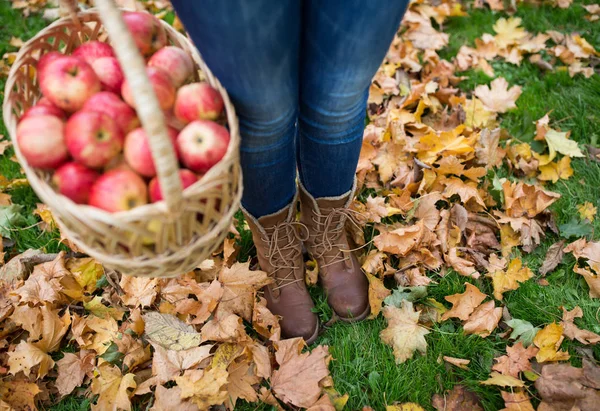 Mulher com cesta de maçãs no jardim de outono — Fotografia de Stock