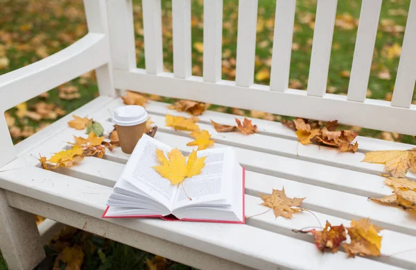 Libro abierto y taza de café en el banco en el parque de otoño — Foto de Stock
