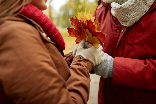 幸福的夫妇与秋天，枫树叶的特写 — 图库照片