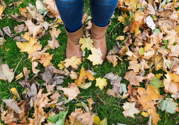 女性的脚在靴子和秋天的落叶 — 图库照片