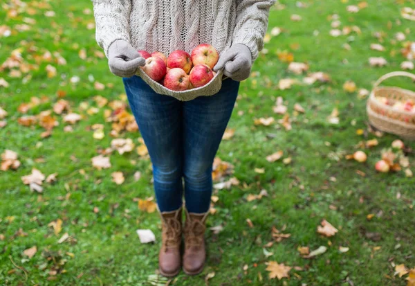 Mujer con manzanas en el jardín de otoño — Foto de Stock