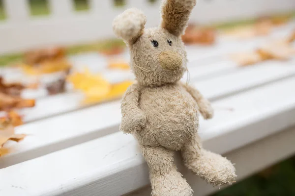 Coniglio giocattolo su panchina nel parco autunnale — Foto Stock