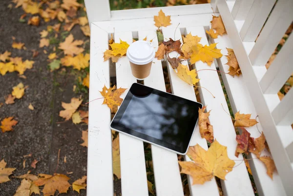 Tablet pc e tazza di caffè su panca nel parco autunnale — Foto Stock