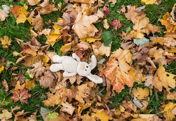 Toy rabbit in fallen autumn leaves — Stock Photo, Image