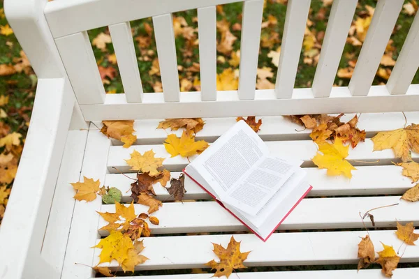 Libro abierto en el banco en el parque de otoño — Foto de Stock