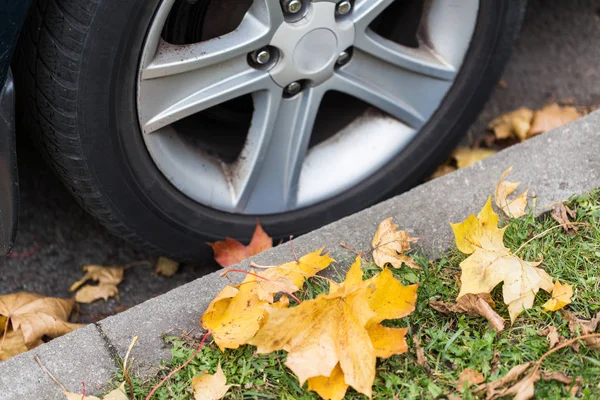 Detailní záběr kola automobilu a podzimní listí — Stock fotografie