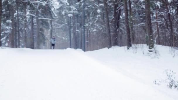 Hombre corriendo sobre nieve cubierto invierno camino en bosque — Vídeo de stock