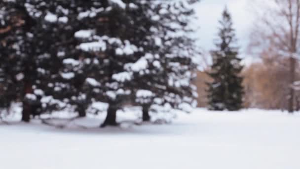 Amigos felizes brincando com a neve no inverno — Vídeo de Stock