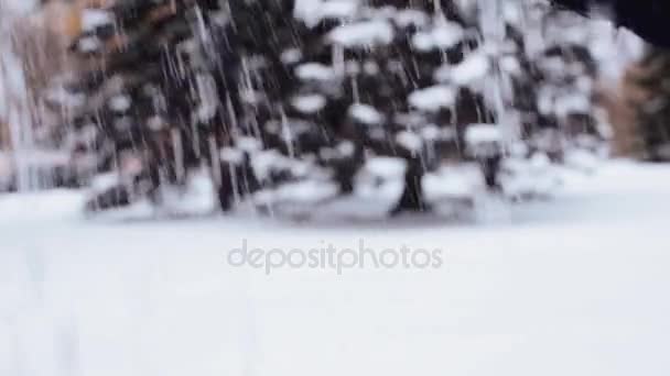 Mano vertiendo nieve en el bosque de invierno — Vídeos de Stock