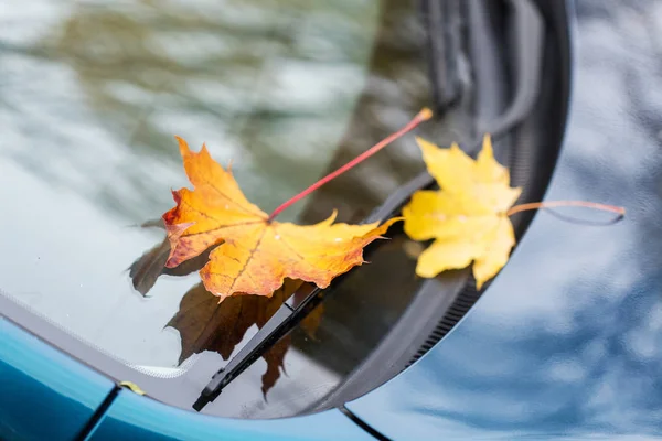 Primo piano del tergicristallo auto con foglie autunnali — Foto Stock