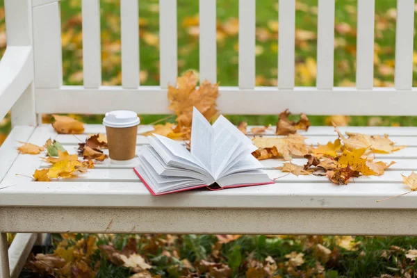 Açık kitap ve kahve fincanı sonbahar parkta bankta — Stok fotoğraf