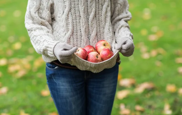 Close up of woman with apples in autumn — Stock Photo, Image