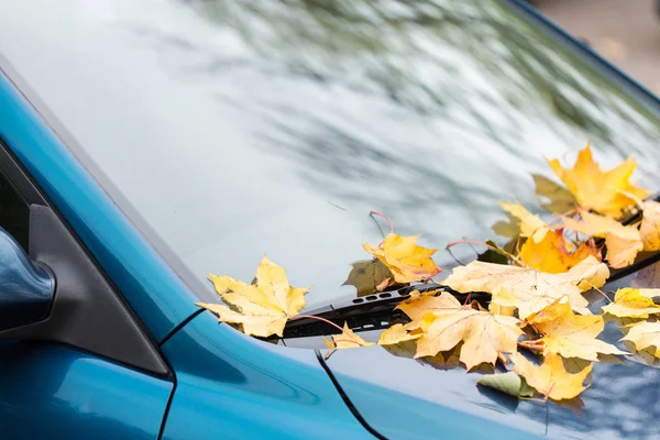 Close up of car wiper with autumn leaves — Stock Photo, Image