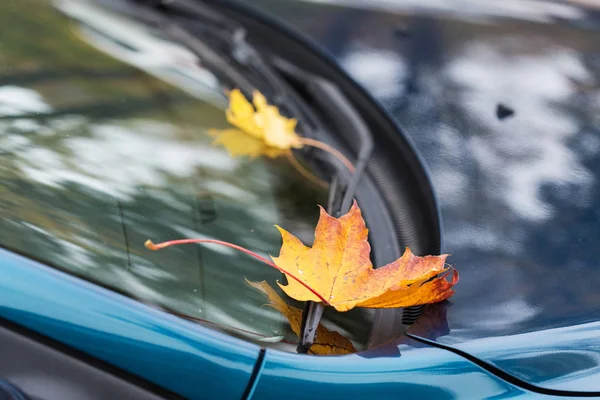 Nahaufnahme des Autowischers mit Herbstlaub — Stockfoto