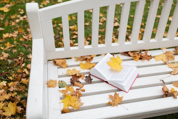 Open boek op Bank najaar Park — Stockfoto