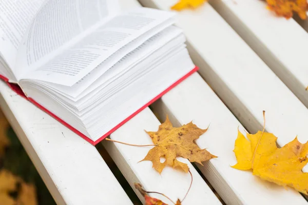 Libro abierto y hojas de otoño en el banco del parque — Foto de Stock