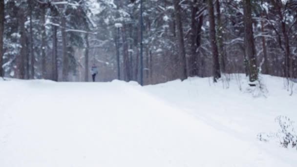 Man loopt op besneeuwde winterweg in bos — Stockvideo