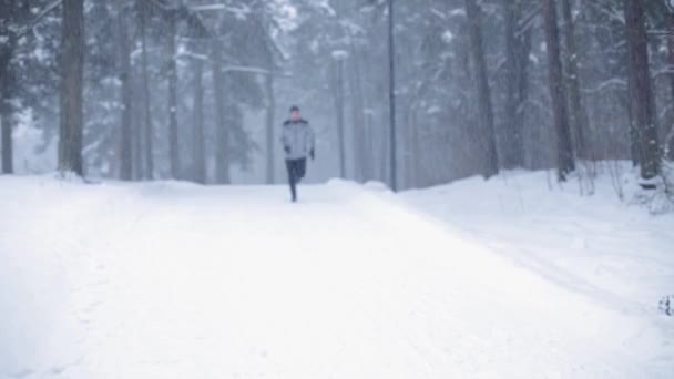 Hombre corriendo sobre nieve cubierto invierno camino en bosque — Vídeo de stock