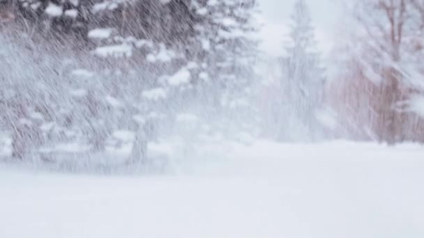 Amigos felices jugando con nieve en invierno — Vídeo de stock