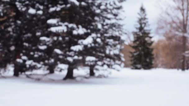 Amis heureux jouant avec la neige en hiver — Video